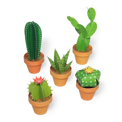 Mini jardin de cactus - Kit de bricolage