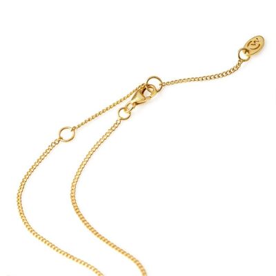 Adjustable gold curb chain necklace__gold / adjustable 20-22"