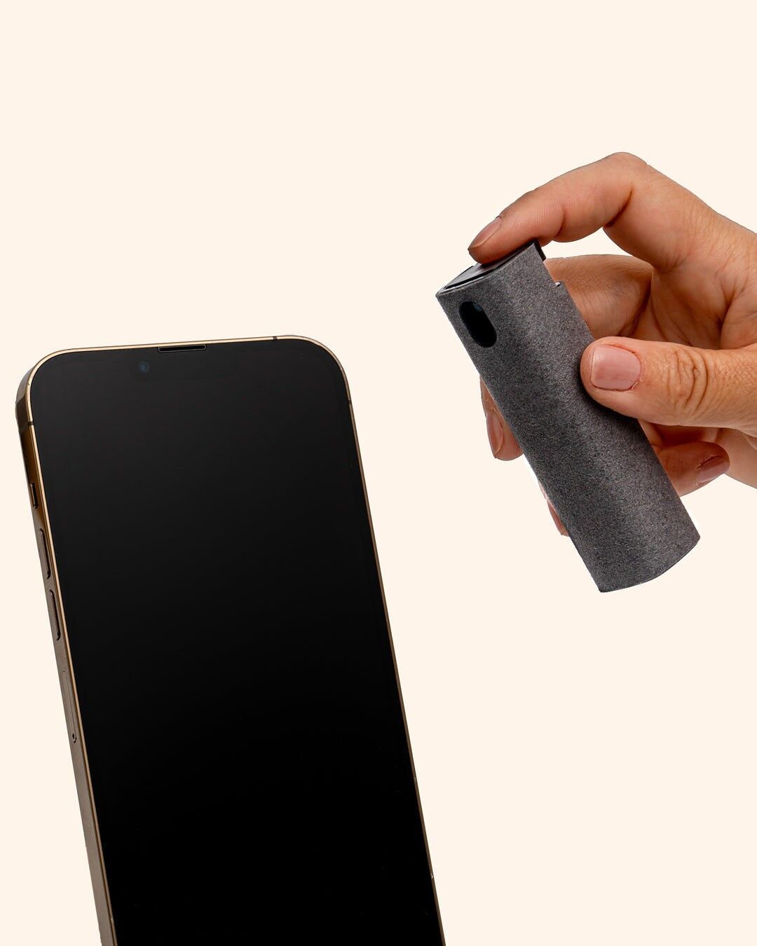 Portable screen cleaner