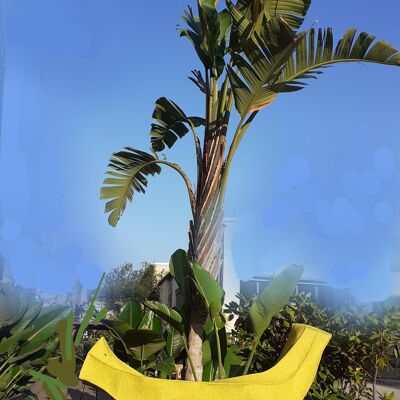 Jouer à la banane bateau