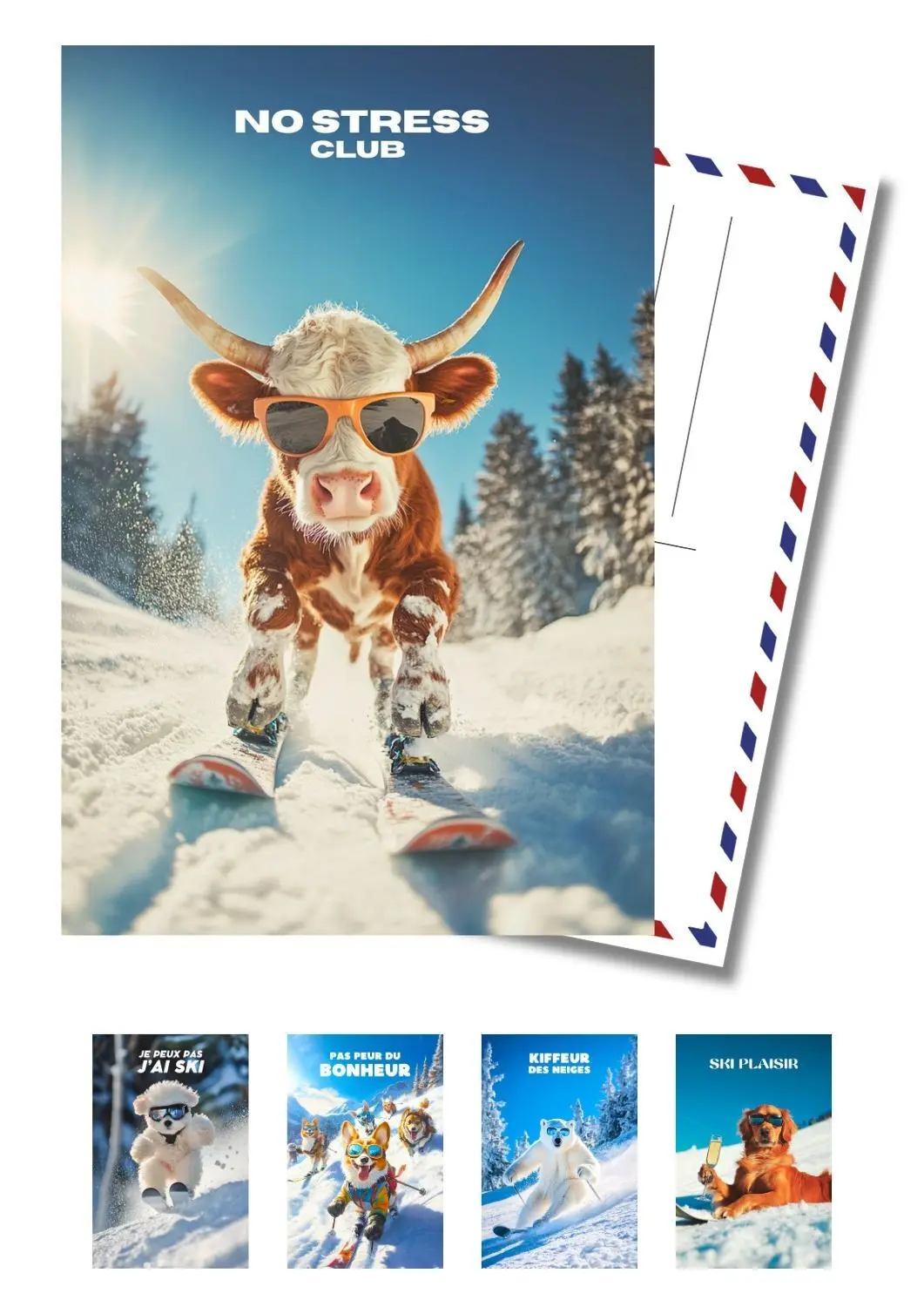 Achat Lot X50 - carte postale humour Ski Montagne - Top Panaché ...