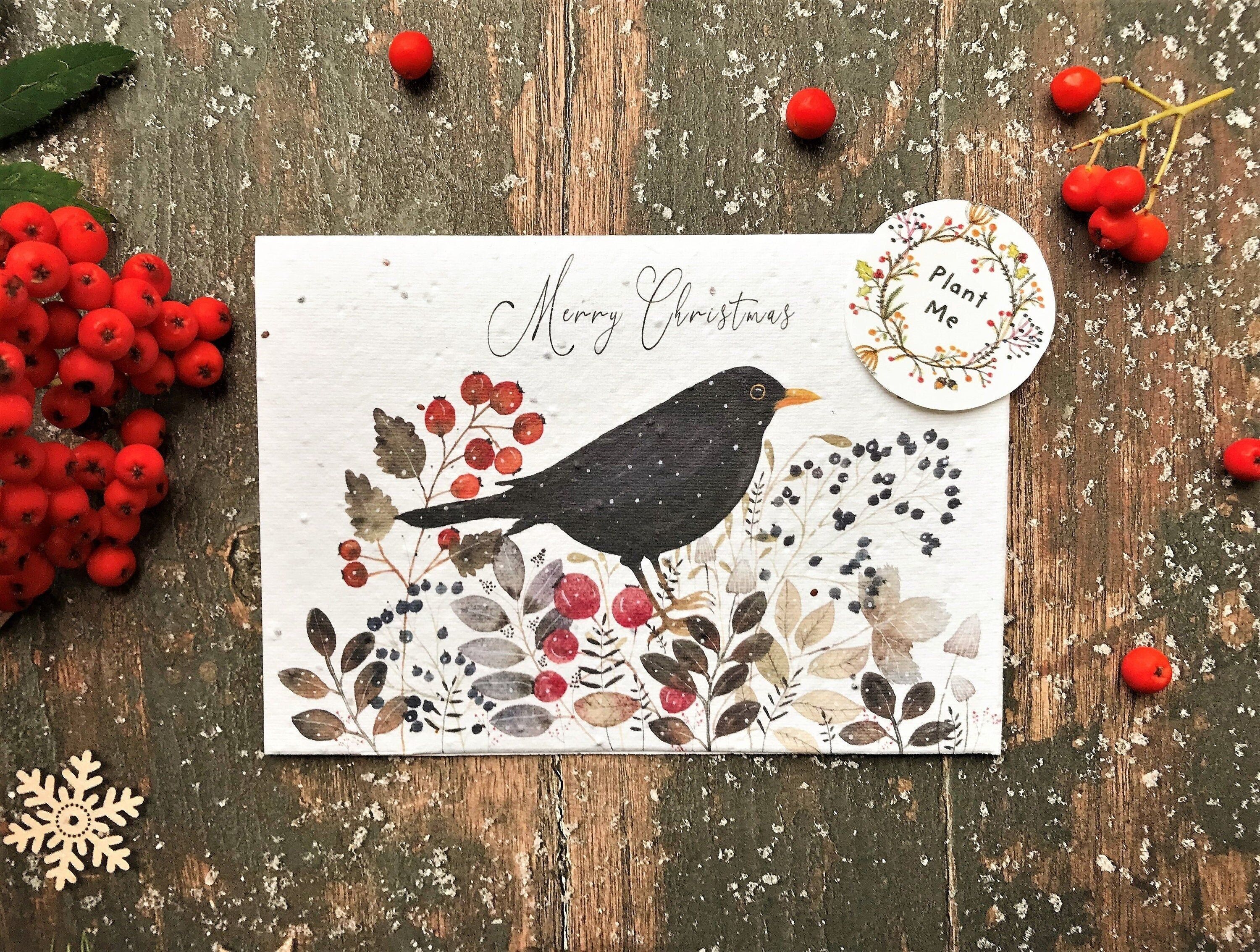 Plantable Seed Paper Christmas Card: Black Bird Illustration, Eco-Friendly Handmade Card