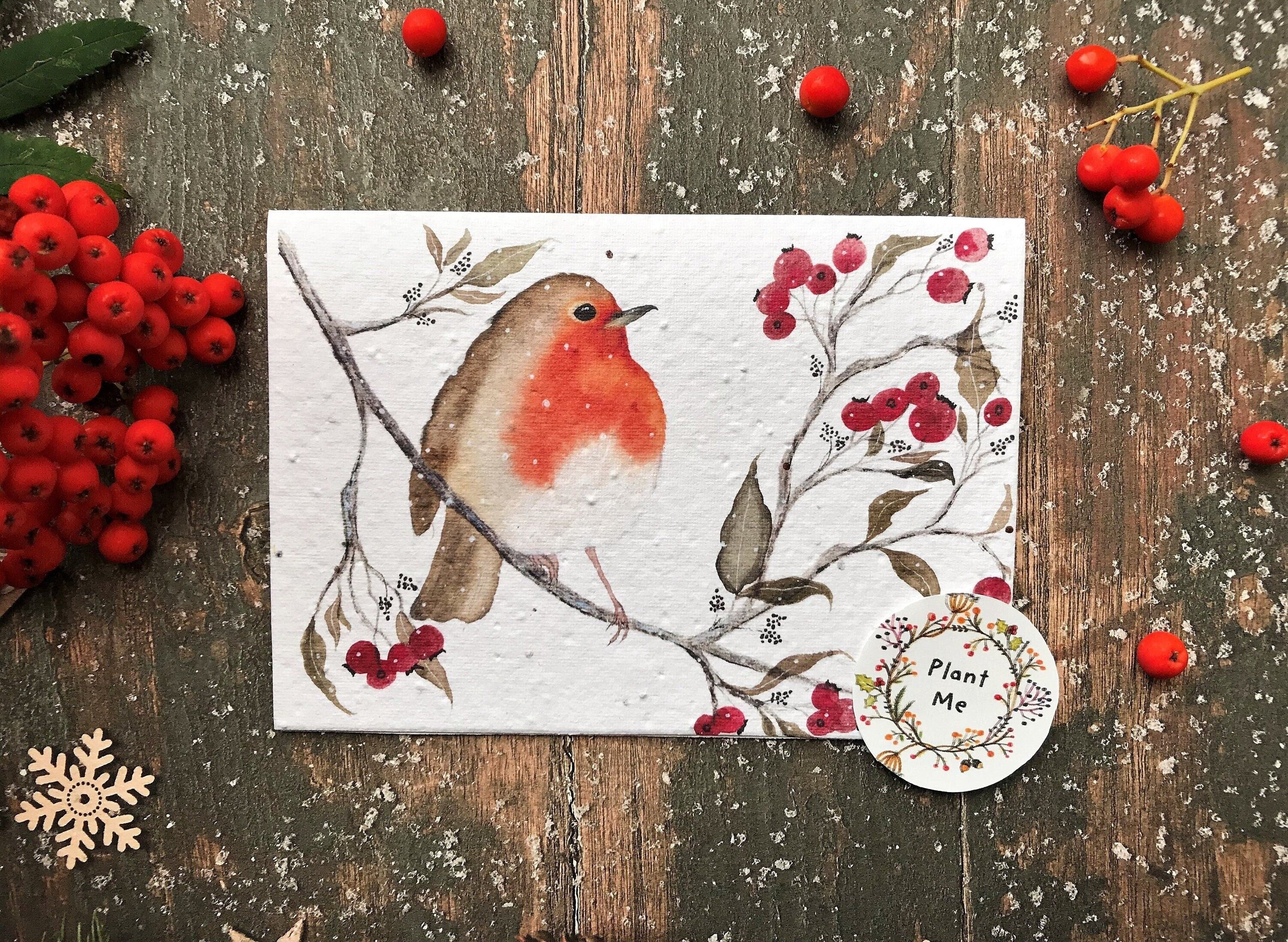 Plantable Seed  Paper Christmas cards,Illustrated Christmas card,Christmas Cards,Robin Illustration,Eco Friendly cards, Robin Redbreast bird