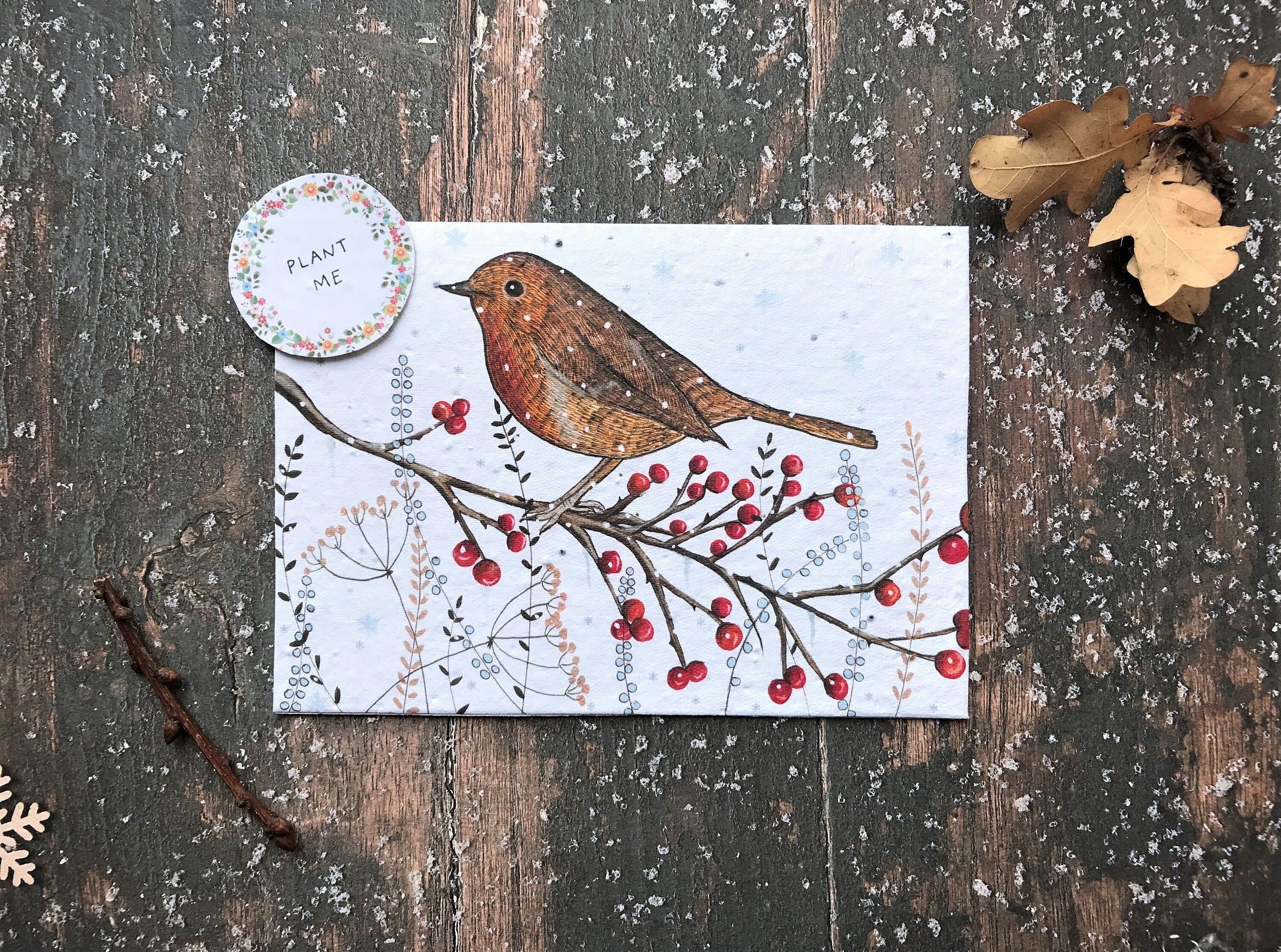 Plantable Seed Paper Christmas Card: Illustrated Robin Design
