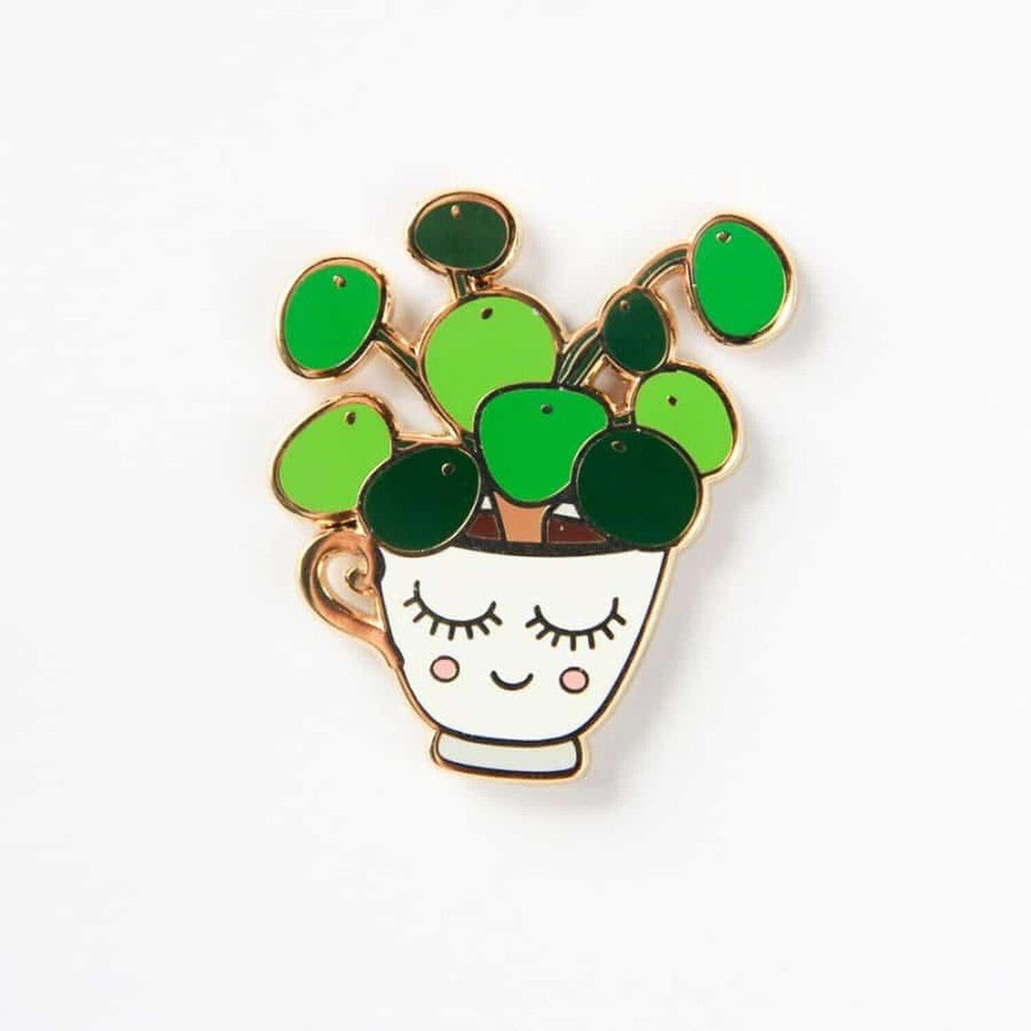 Crêpe Pin Pilea