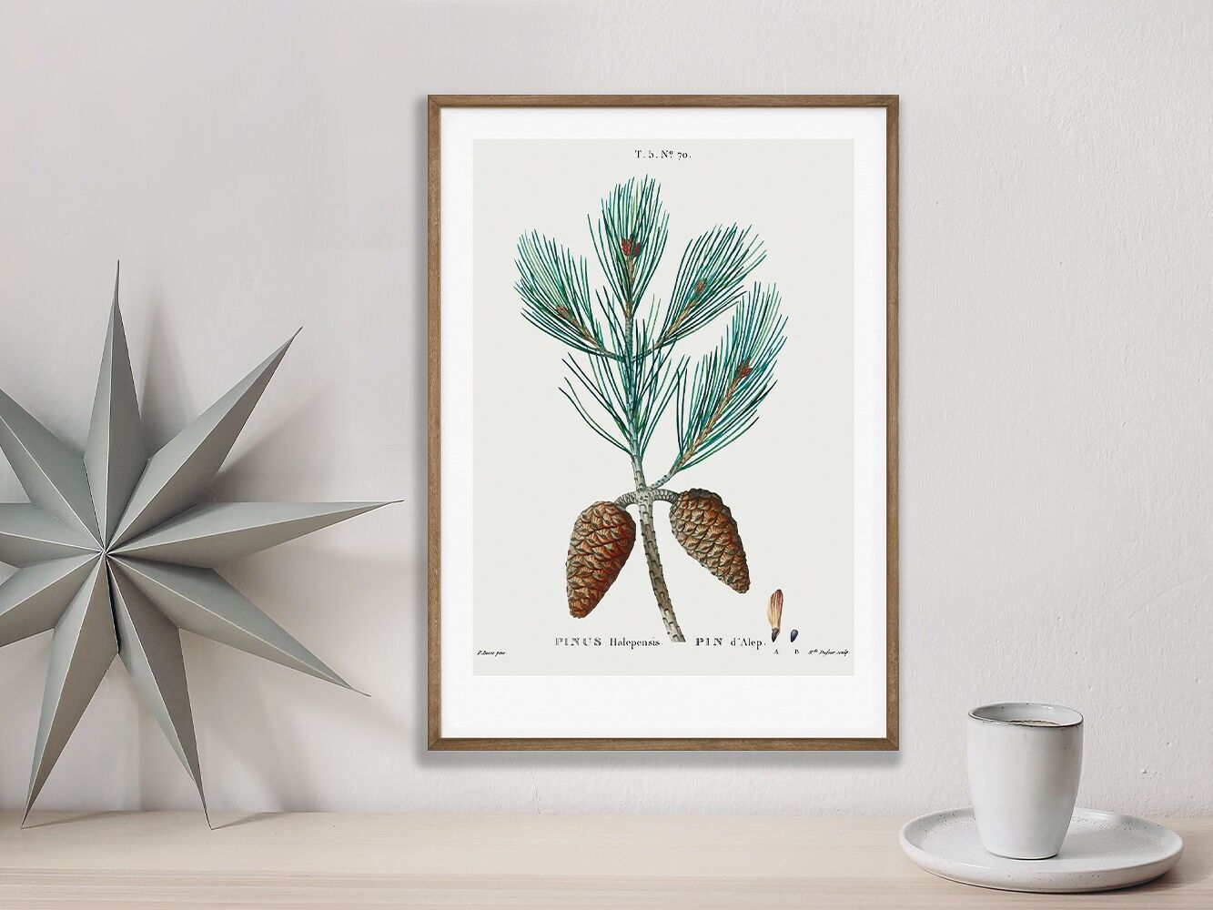 Plakat, ›Tannenzapfen 04‹