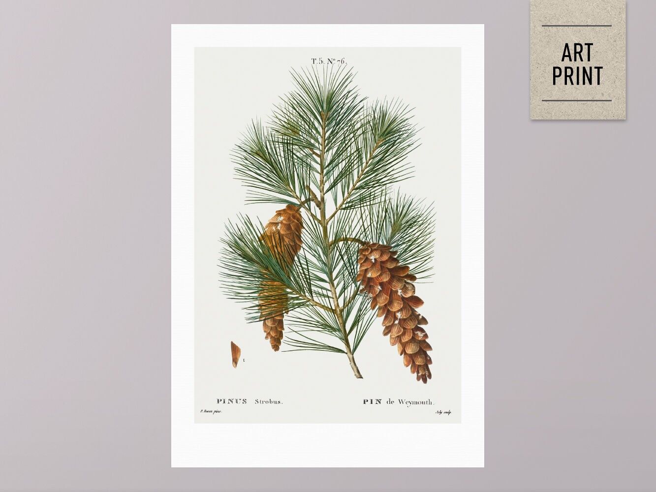 Plakat, ›Tannenzapfen 05‹