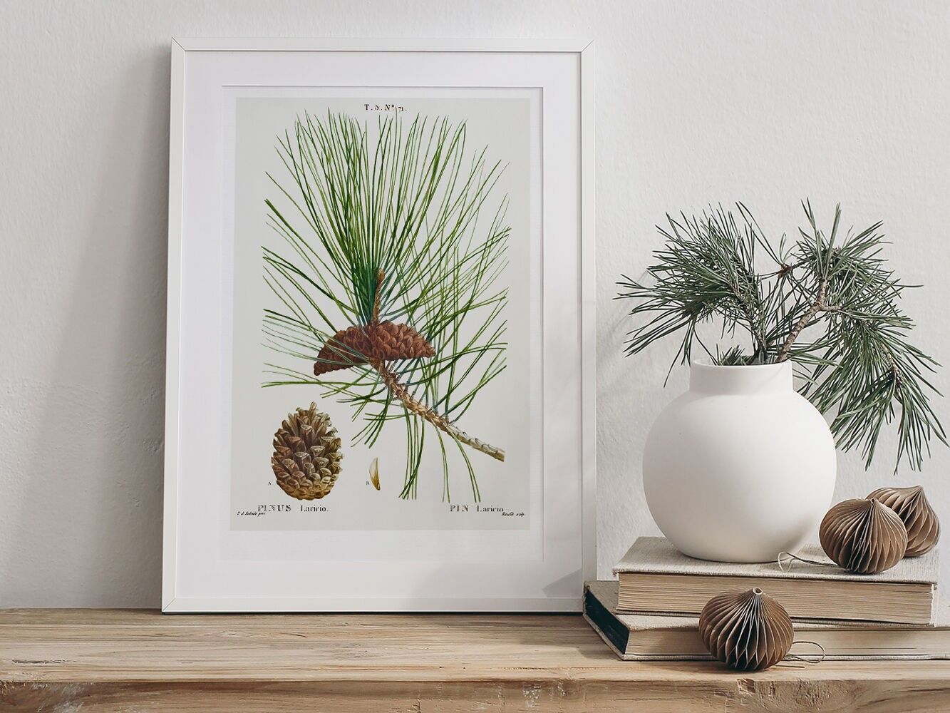 Plakat, ›Tannenzapfen 02‹