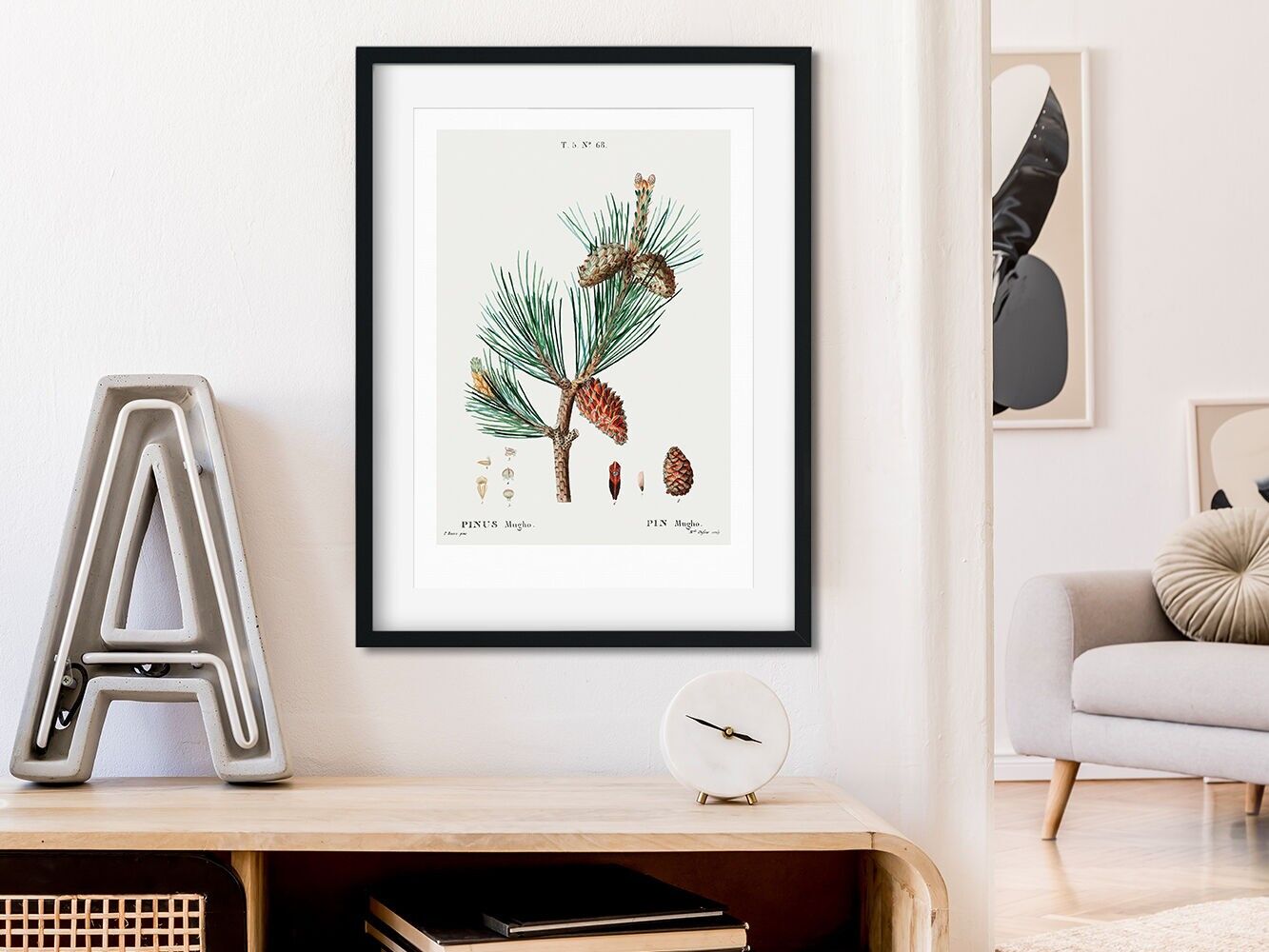 Plakat, ›Tannenzapfen 01‹