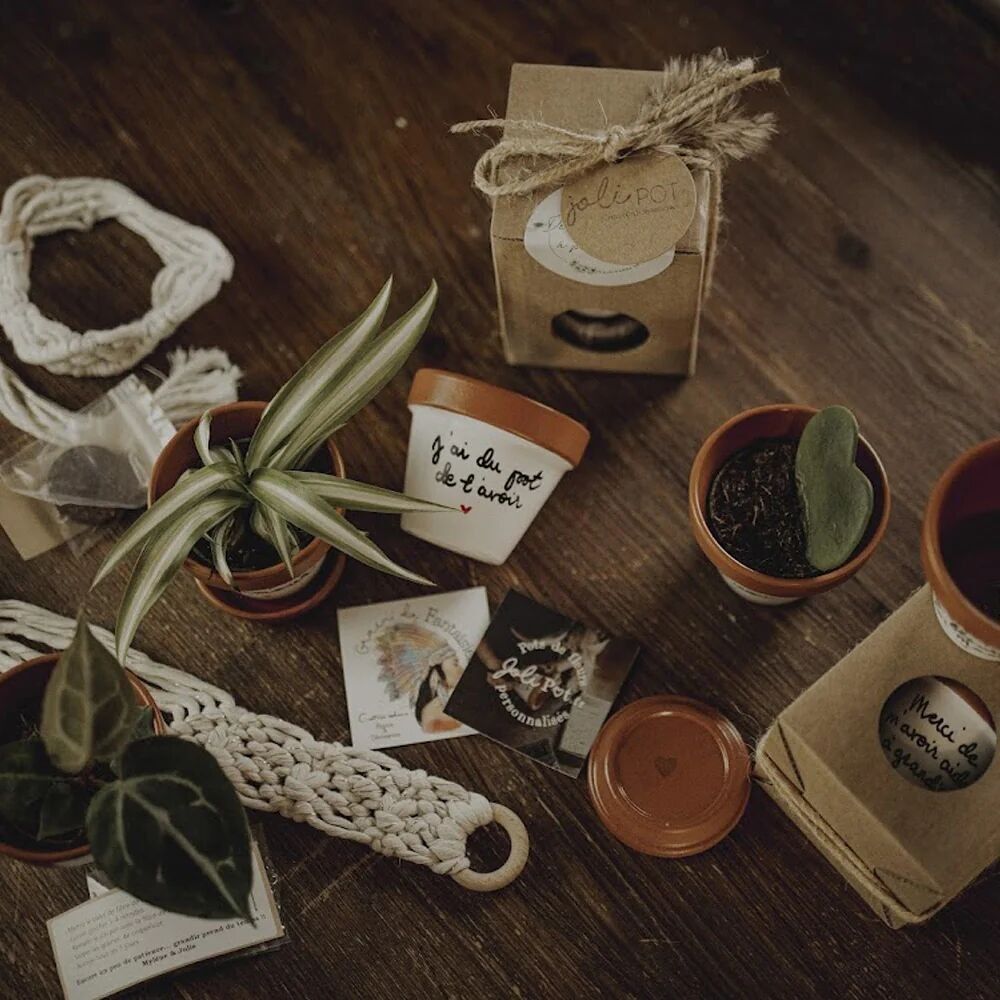 Scatola "Semi di Fantasia ♥", regalo originale fatto a mano - Macrame da appendere - Vaso per piante in terracotta