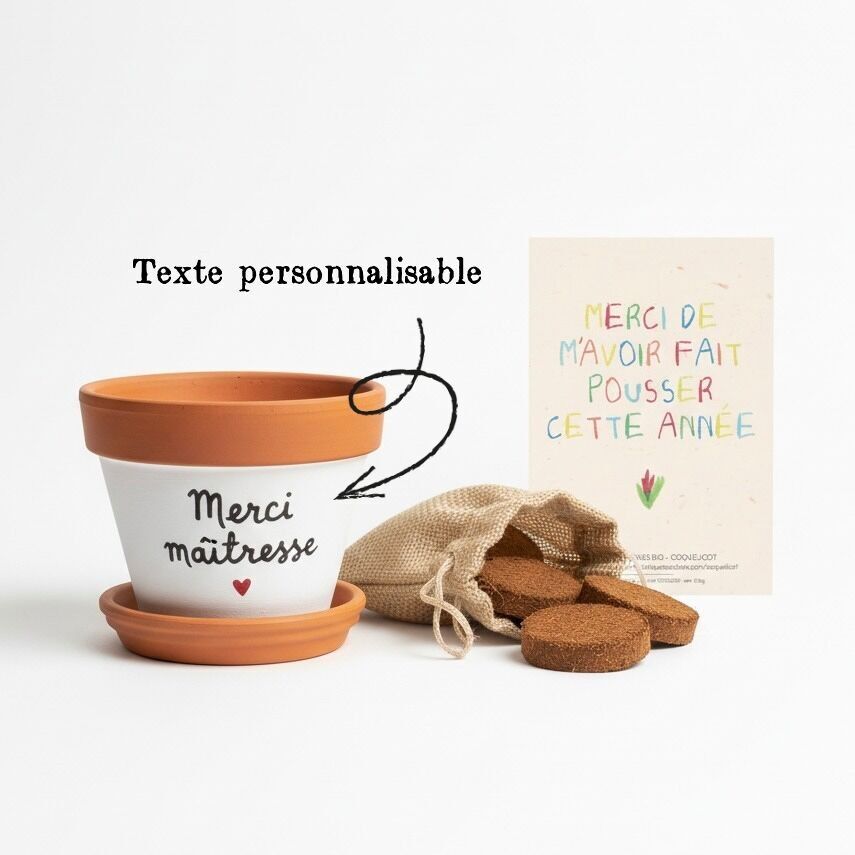 Scatola "Maestra / Fine anno scolastico ♥" - Regalo originale e fatto a mano - Fine anno scolastico - Vaso di fiori in terracotta