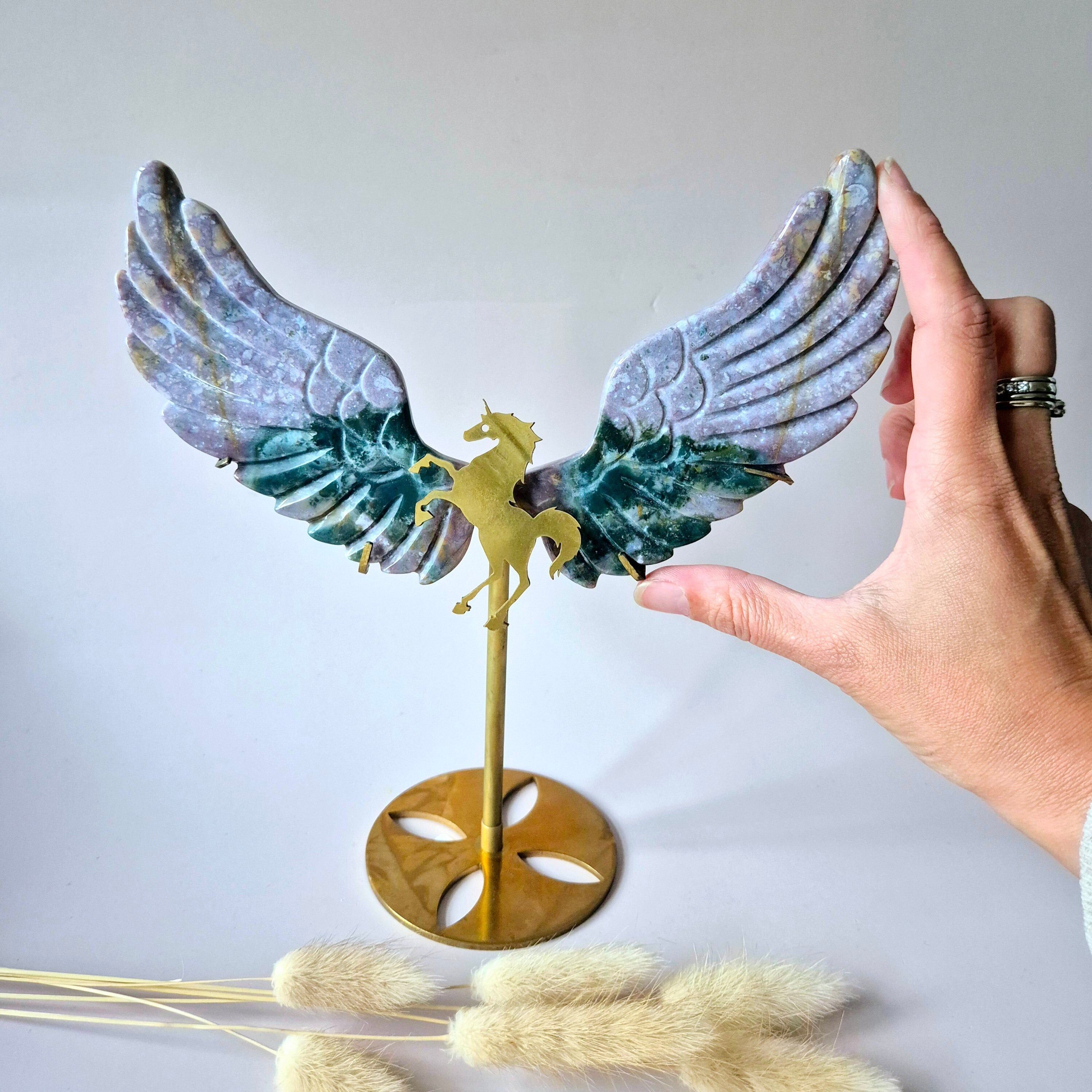 Ailes Ocean Jasper Pegasus XL avec support en métal