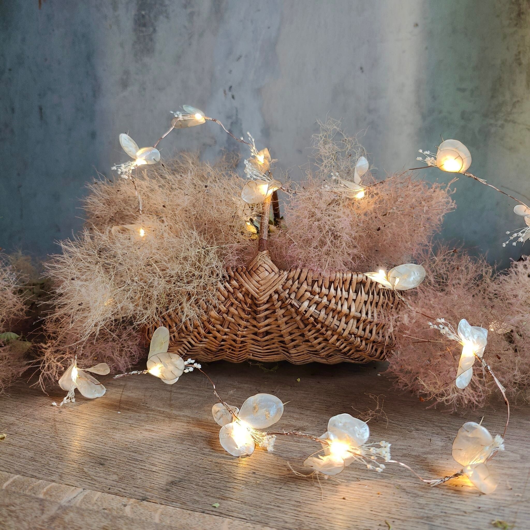 Ghirlanda luminosa con monete del Papa - Fiori secchi - 10 LED 1 m