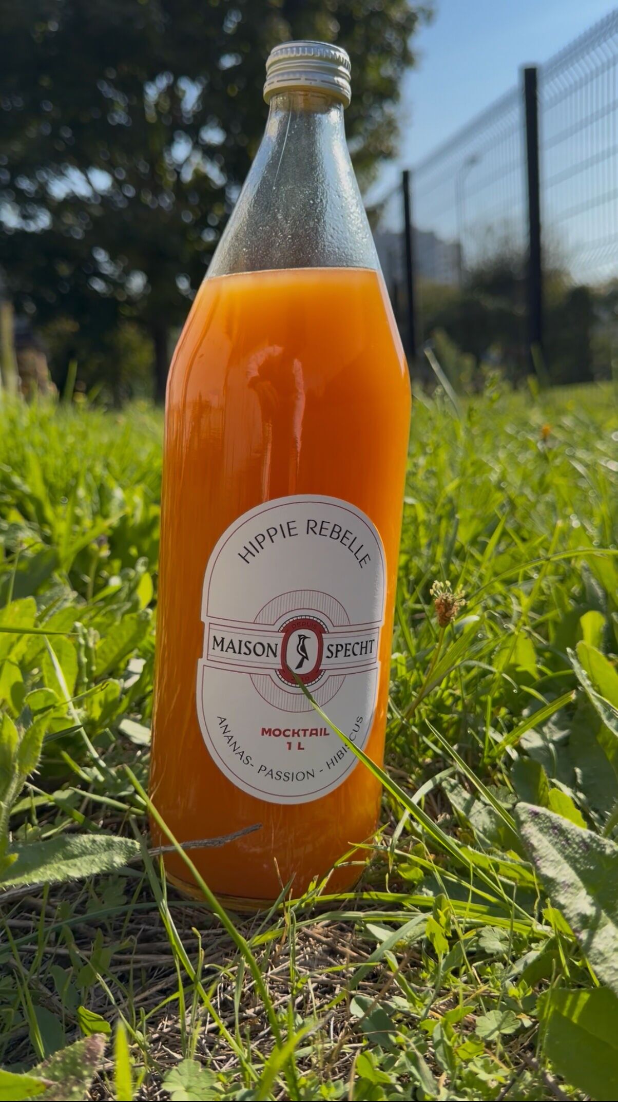 Hippie Rebel Mocktail - Pineapple Passion Hibiscus - 1L Format