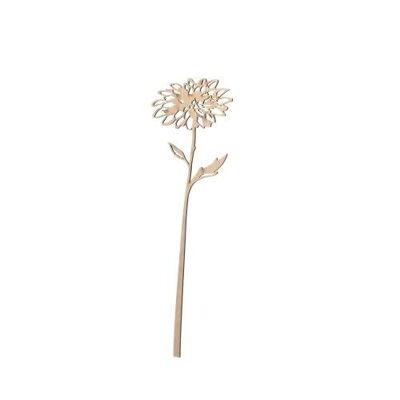 Shop All Flower Stems – TheHardwoodForest