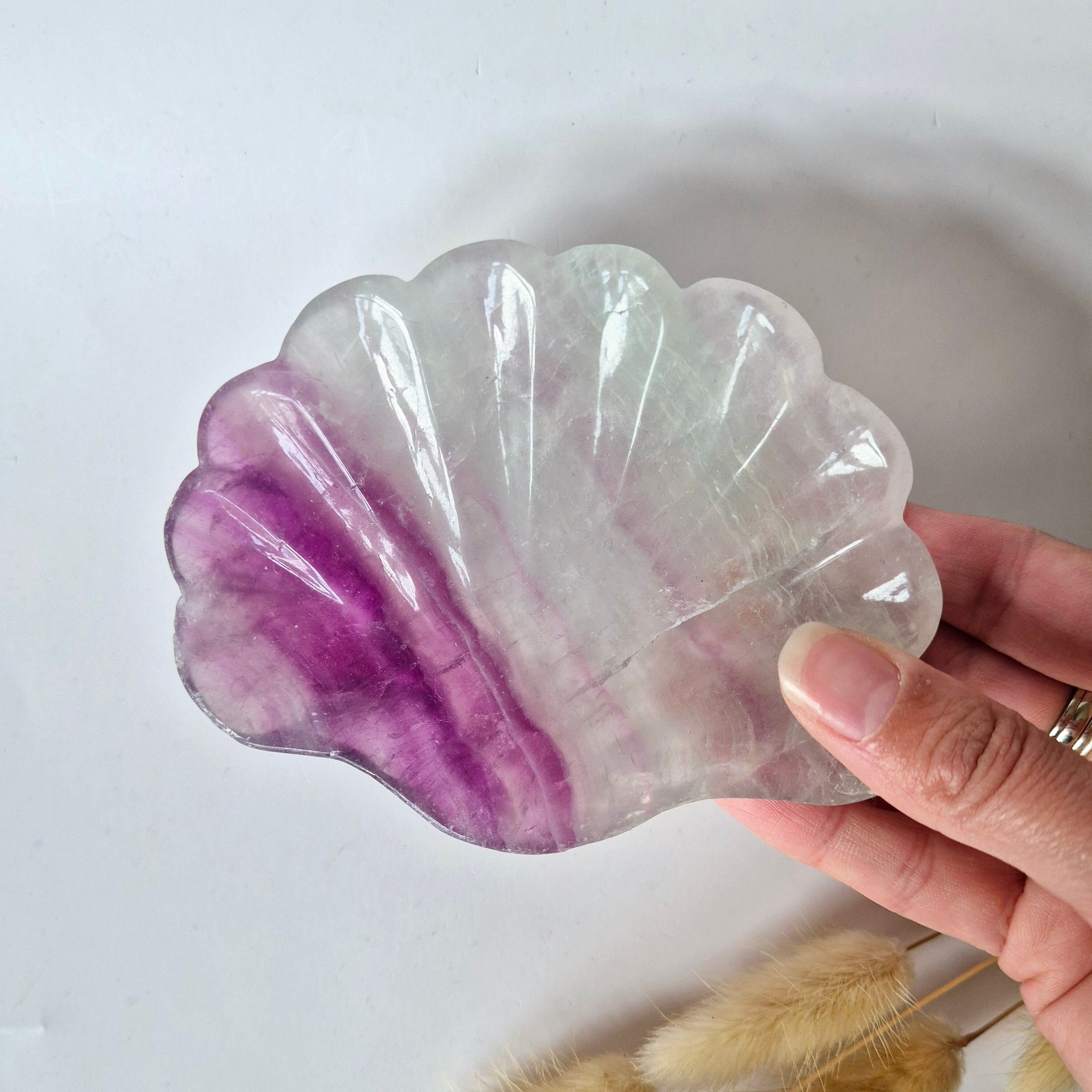 Cuenco para tallar piedras preciosas con forma de concha de fluorita n.° 8 - Regalo único