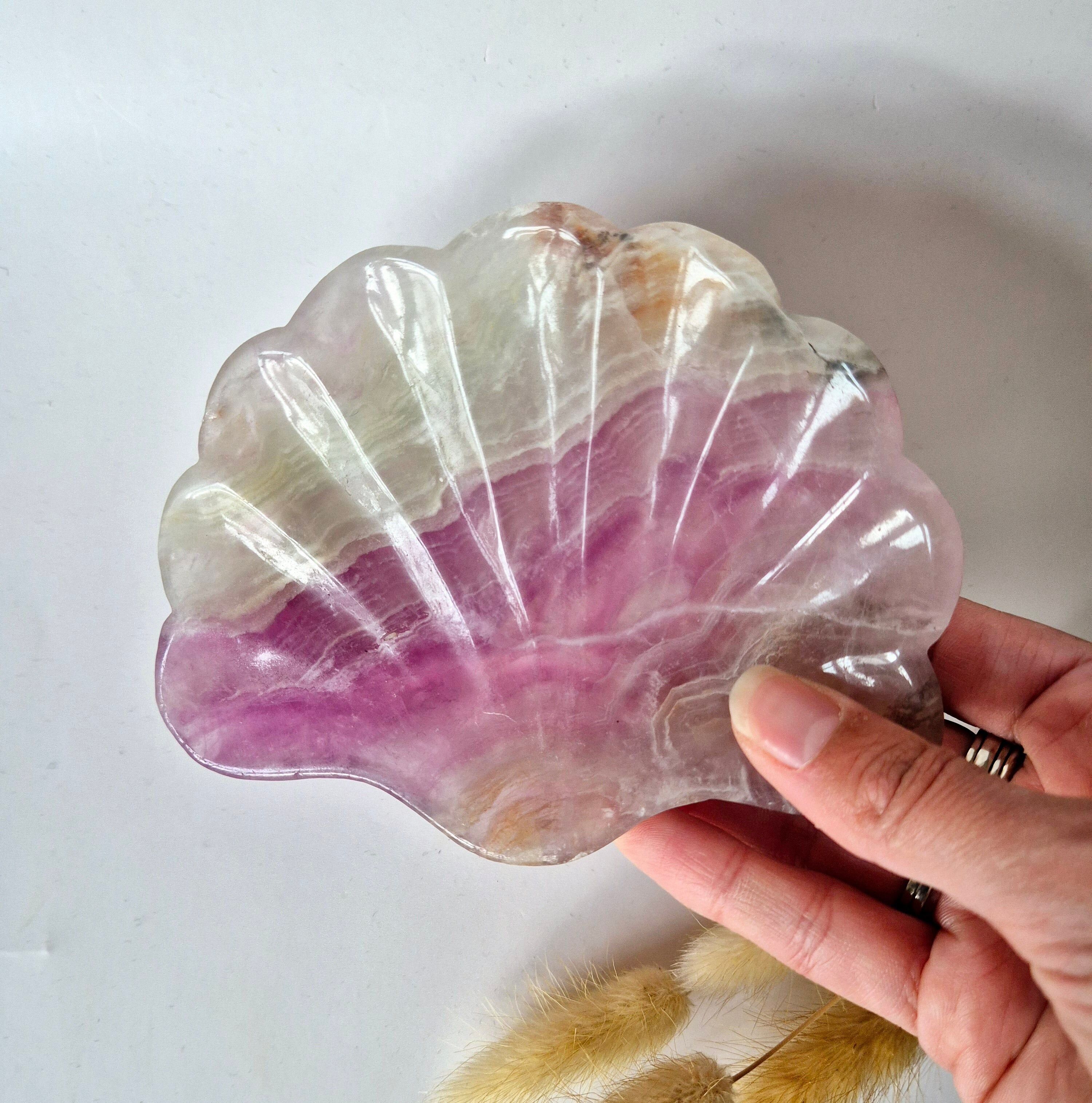 Cuenco para tallar piedras preciosas con forma de concha de fluorita dulce n.° 21 - Regalo único