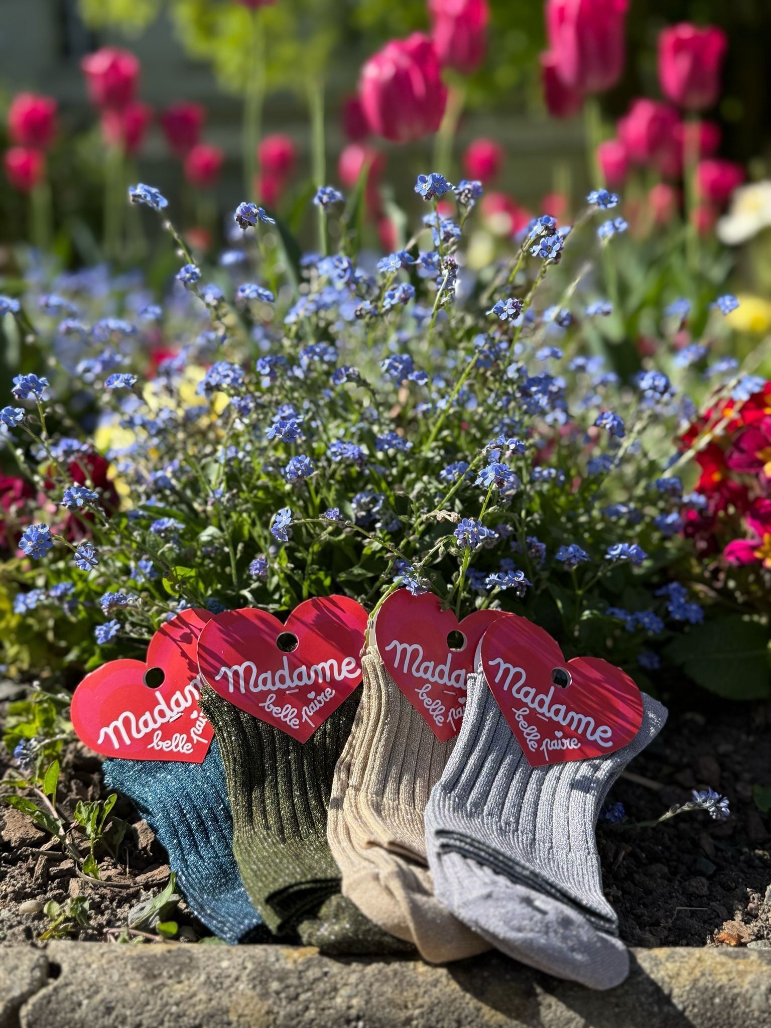 Calzini glitterati a coste da donna 36/40