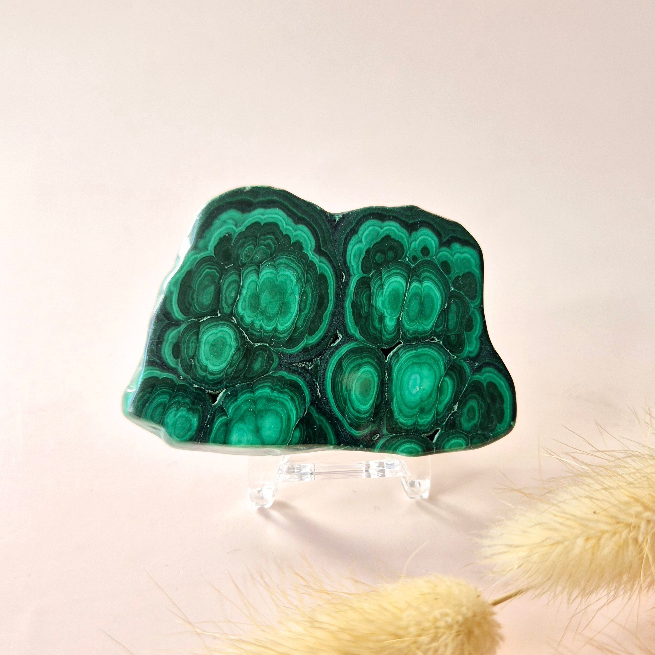 Edelstein Malachit Scheibe auf Ständer #10 40g