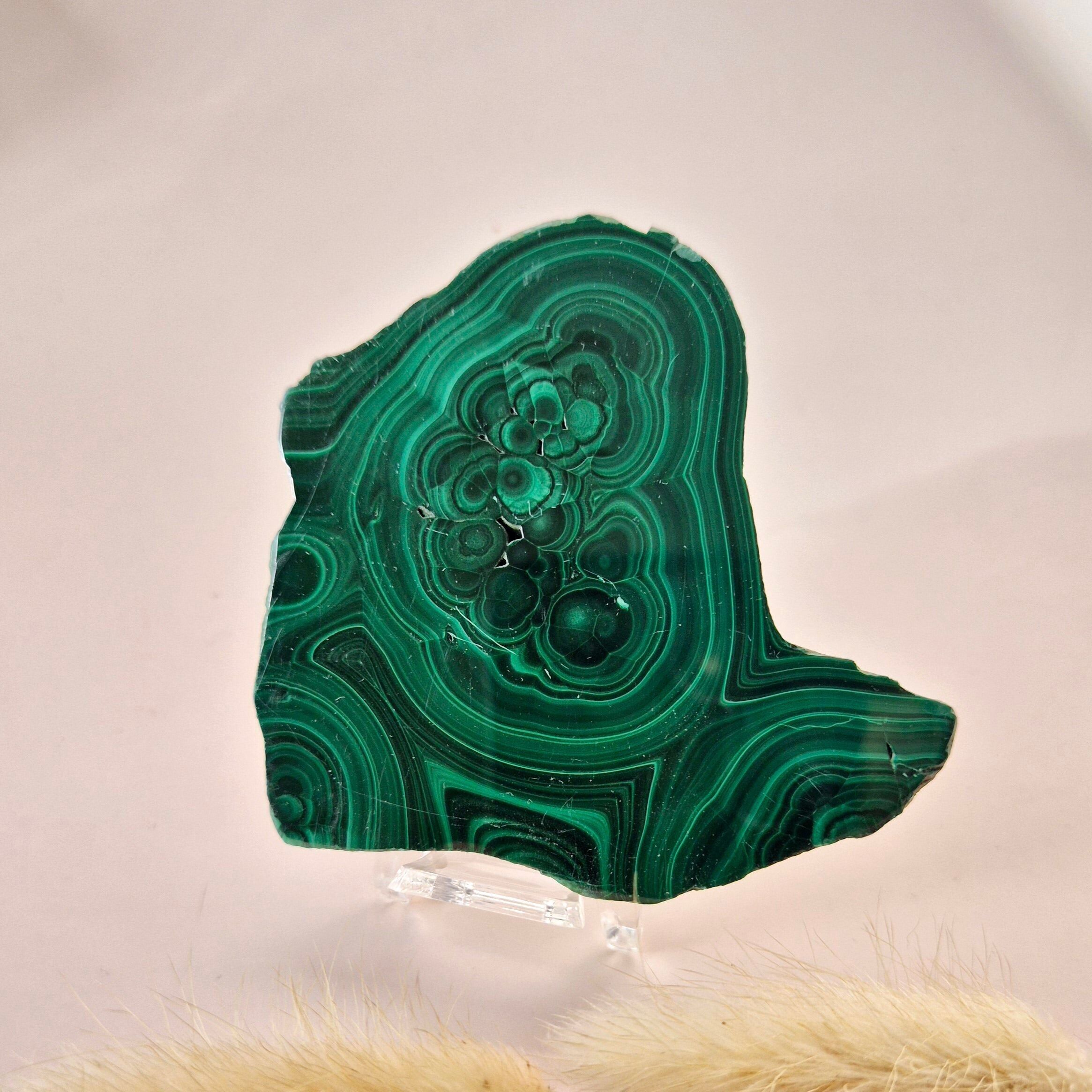 Disque de malachite de pierre précieuse sur support #17 73g