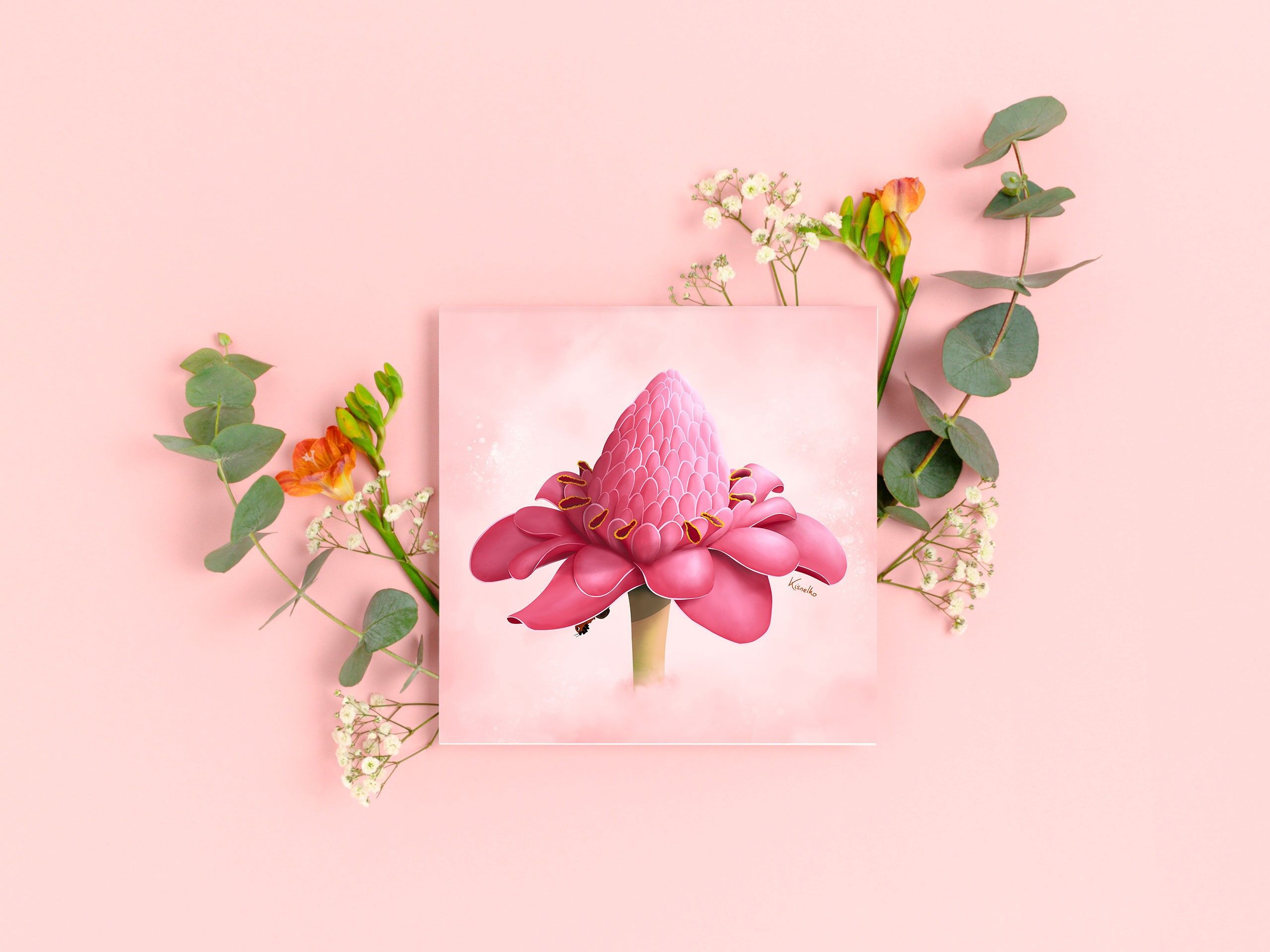 Carte de vœux - Rose aus Porzellan