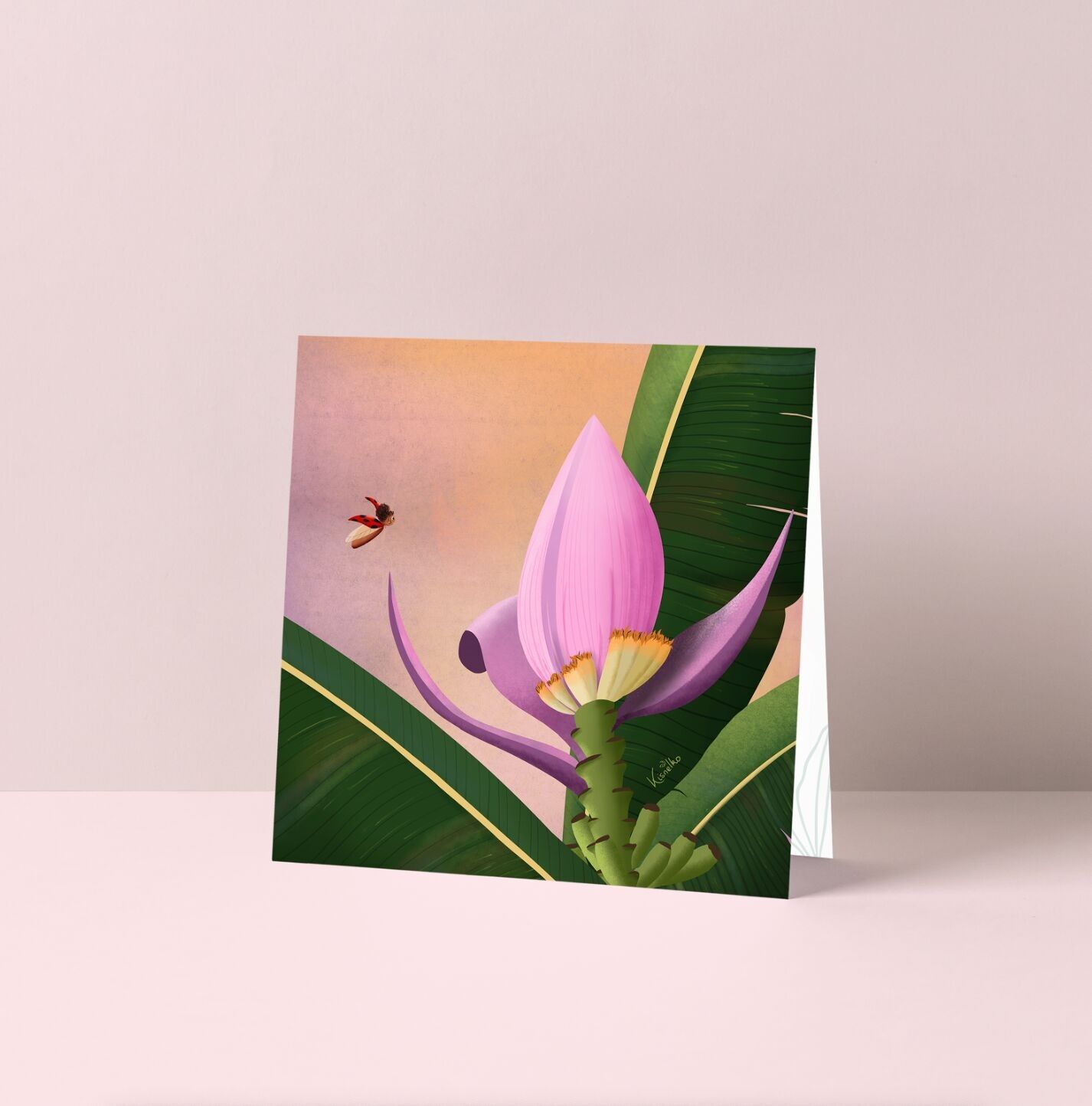 Carte de vœux - Bananier ornamental