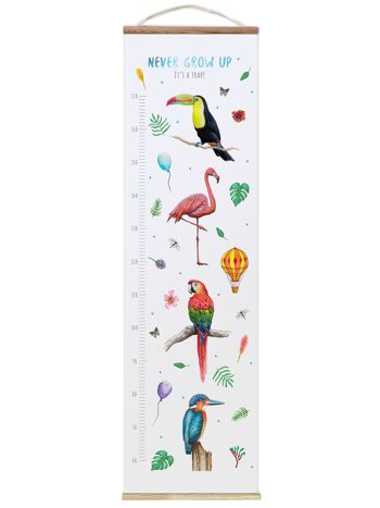 Toise de croissance Kids oiseaux bleu 1