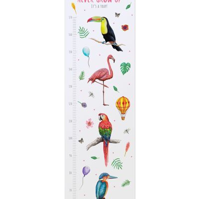 Kids Growth chart birds pink