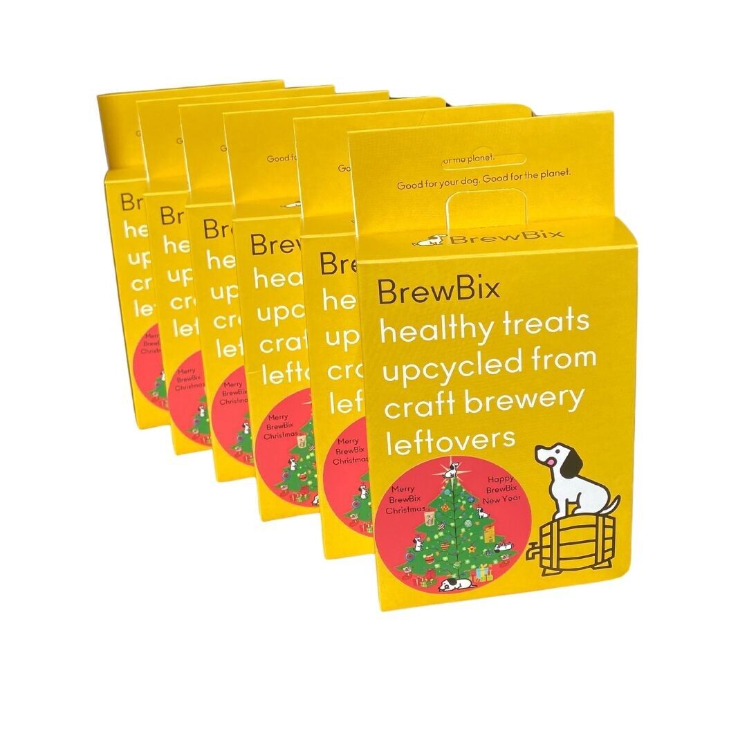 BrewBix Weihnachtsgeschenkbox – 6 x 100 g Hundeleckerlis