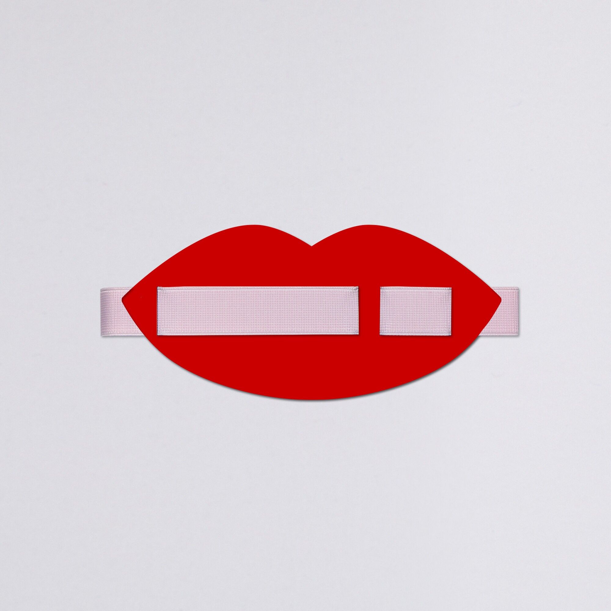 Anti Handbag Textilband L - Recyceltes Leder Lips