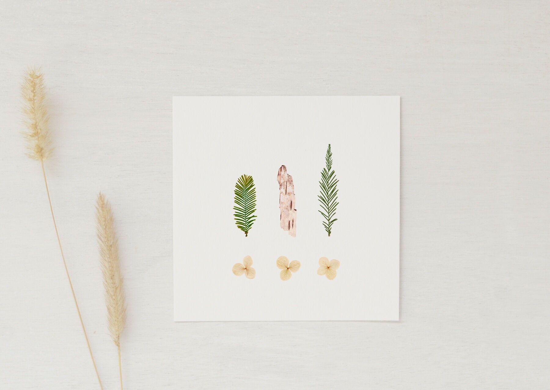 Kleine Weihnachtskarte „Winter“ • Botanica-Kollektion • 10×10 cm (inkl. Umschlag)