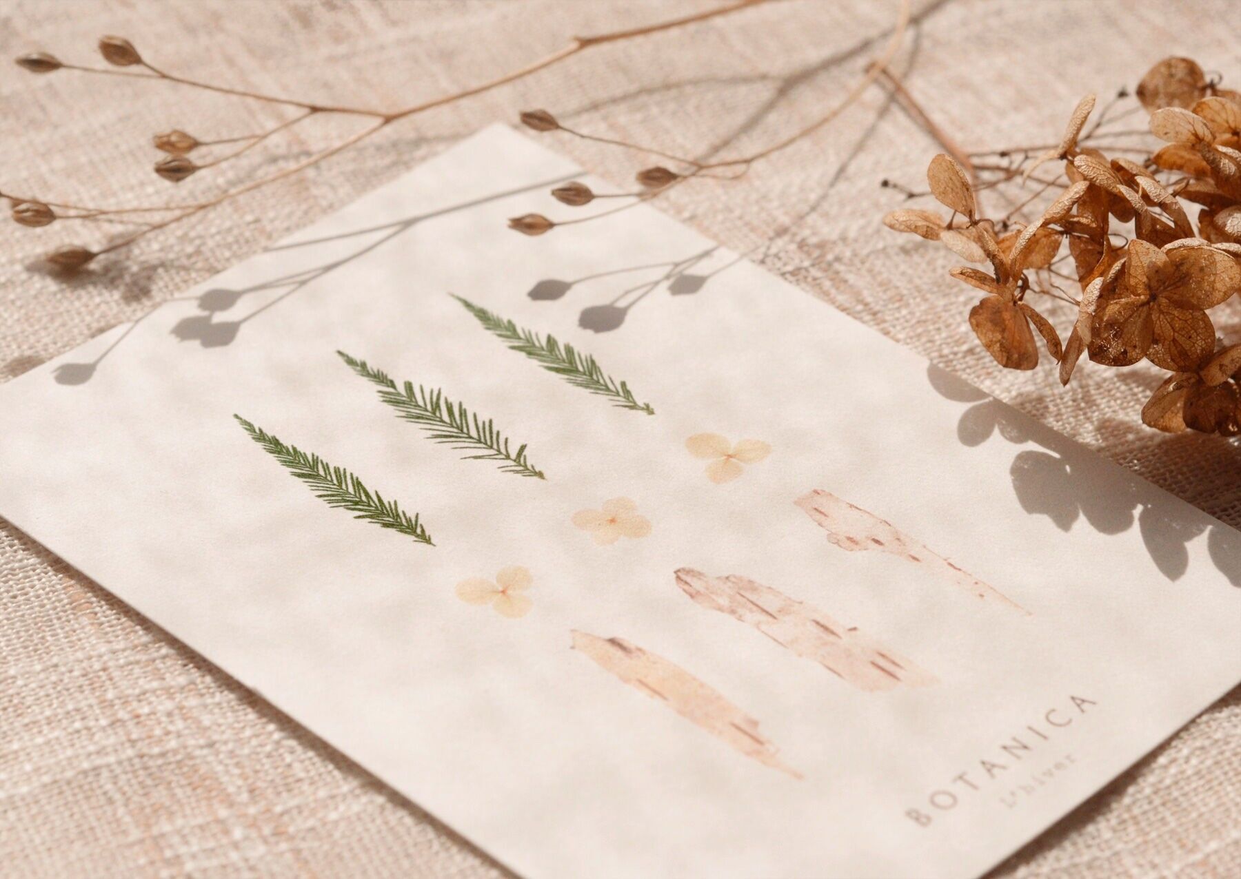 Biglietto fatto a mano "Inverno" • Collezione Botanica • A6 (busta inclusa)