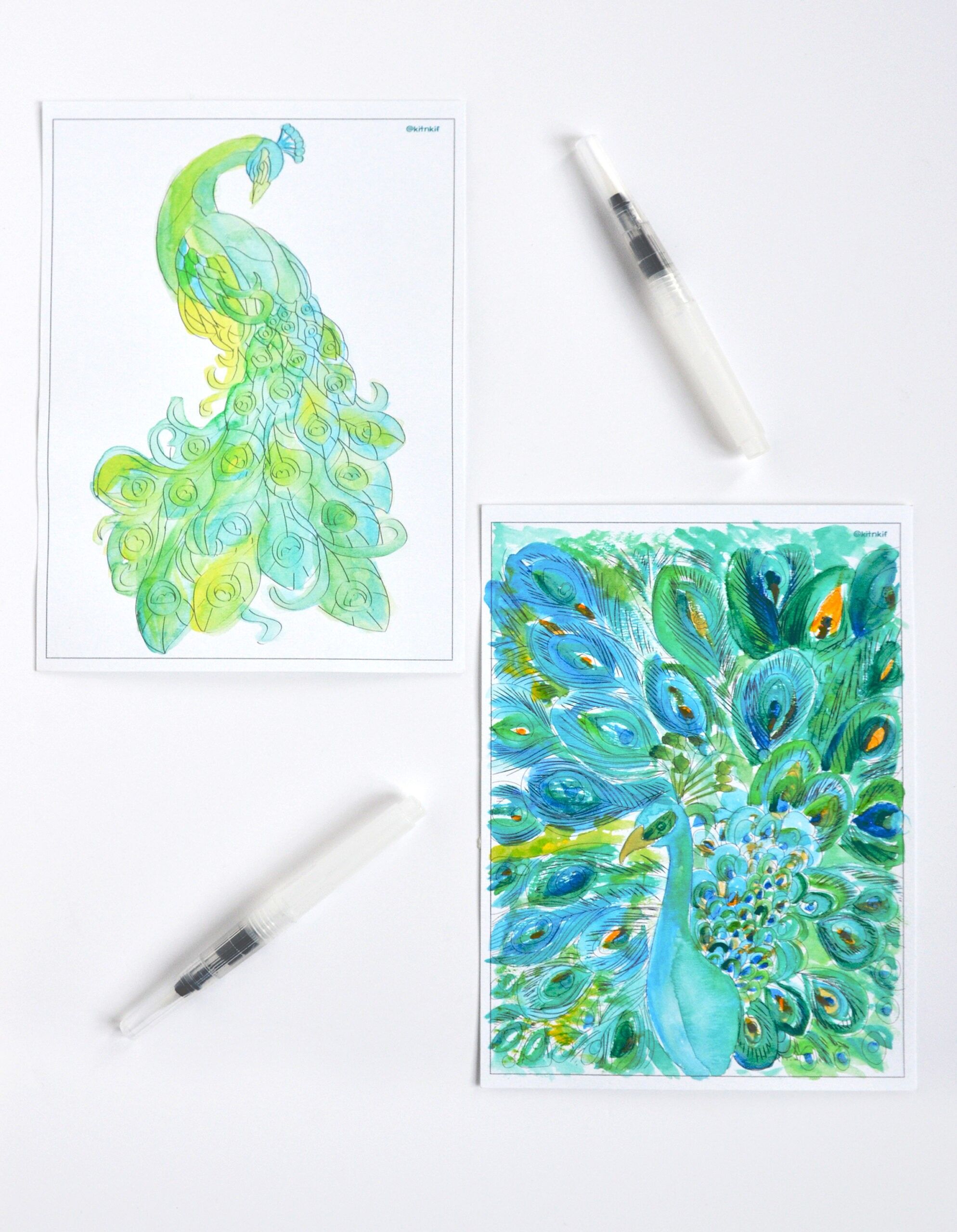 Watercolor Kit – Peacocks