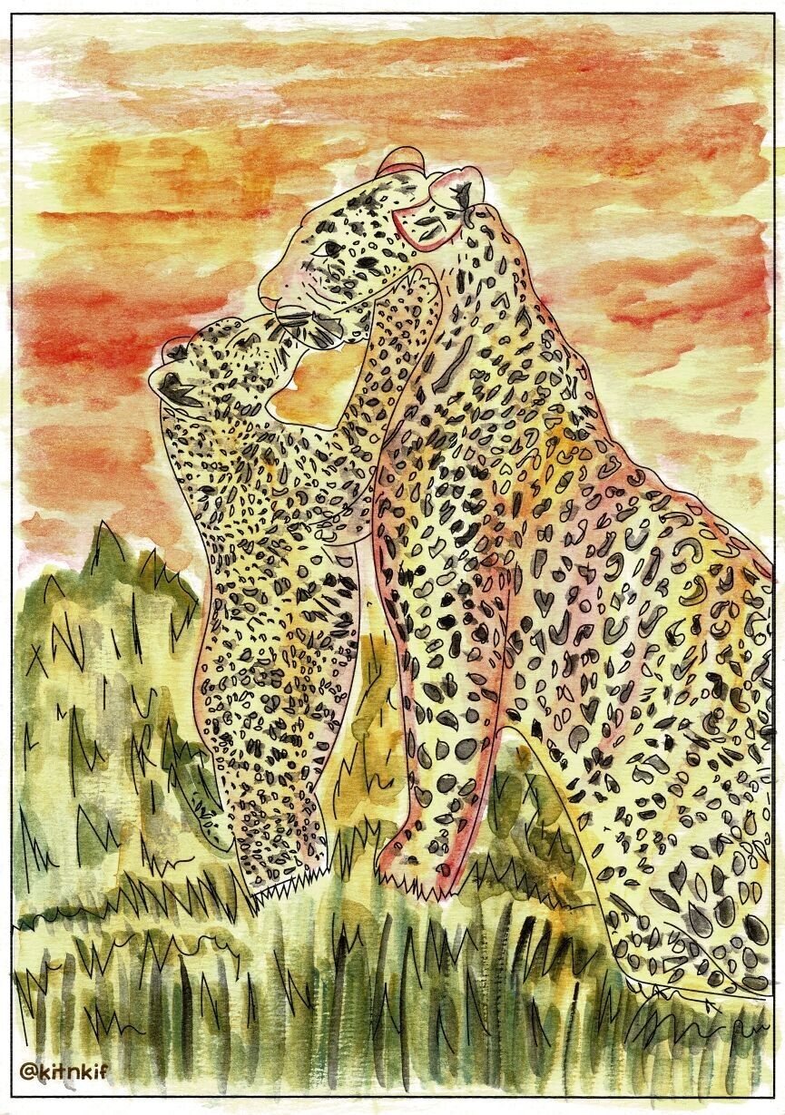 Aquarell-Set – Tiere