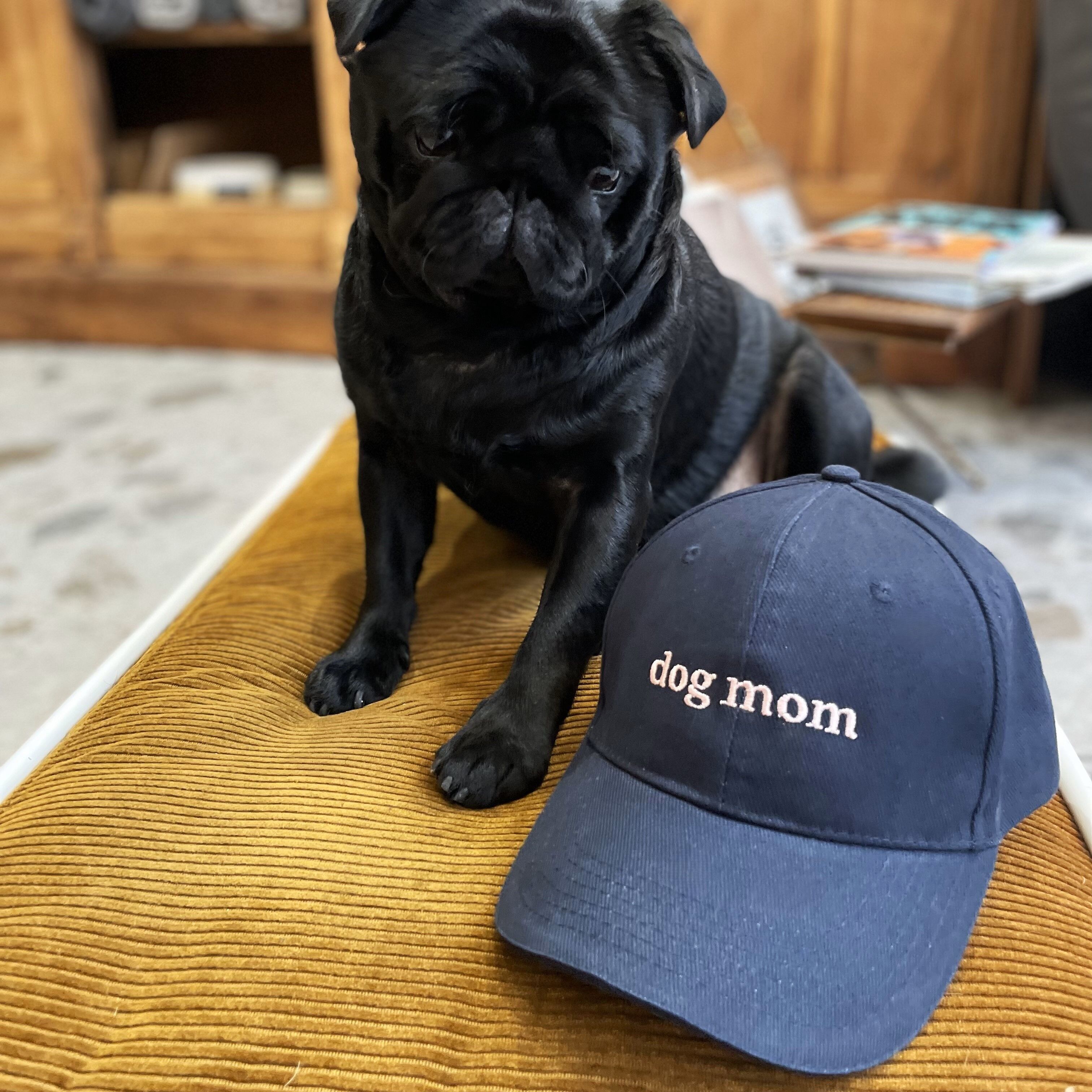 Casquette dog mom - bleue marine