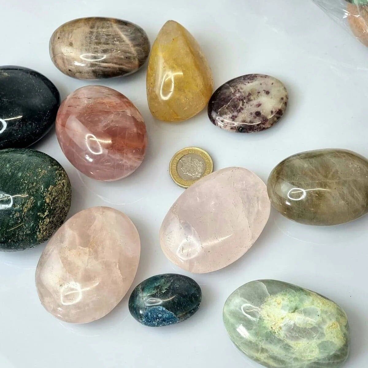 Kristall-Palmstein (gemischter madagassischer 1-kg-Beutel)