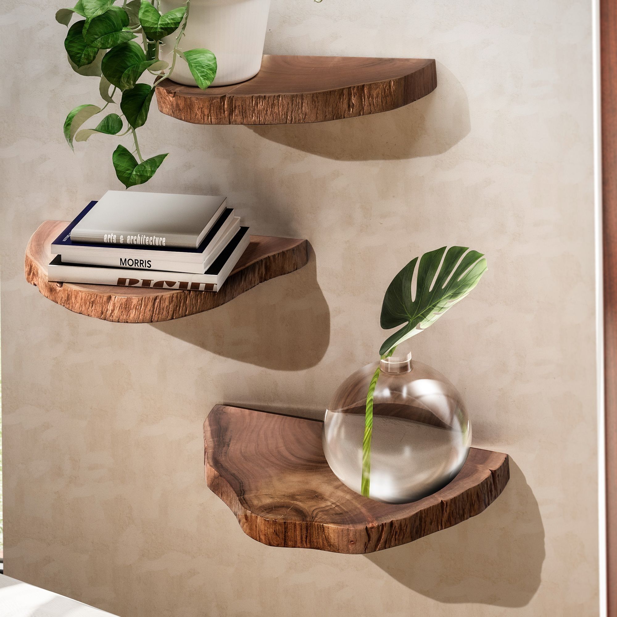 Wall shelf set of 3 acacia solid wood hanging shelves tree disc, natural plant step for the wall, floating shelf hanging with tree edge, flower step tree trunk modern