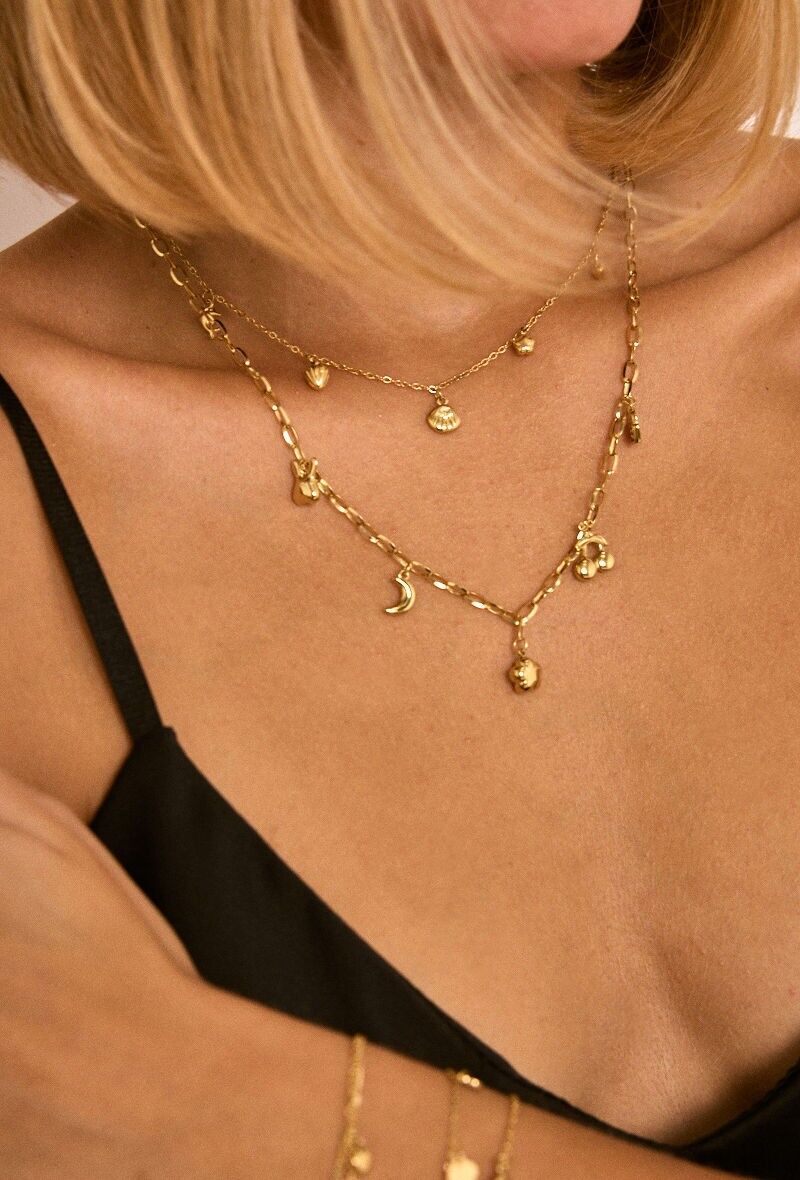 Collari in acciaio inossidabile 224AQ206