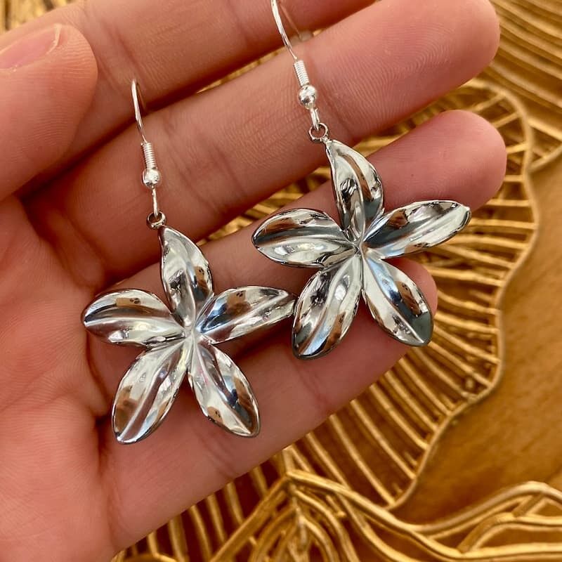 Boucles d'oreilles argentées MAYA - Acier inoxydable