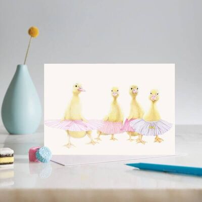 Ballerina ducklings