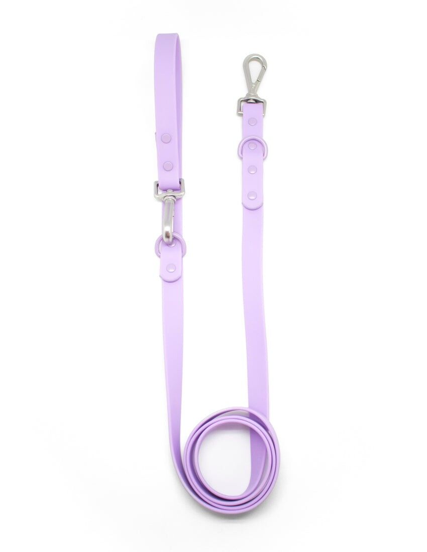 Correa Lavanda Lilac