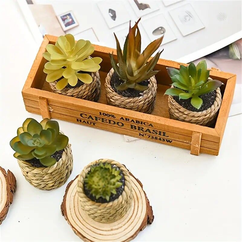 Artificial Succulents Set - Potted Plants, Indoor/Outdoor Decor