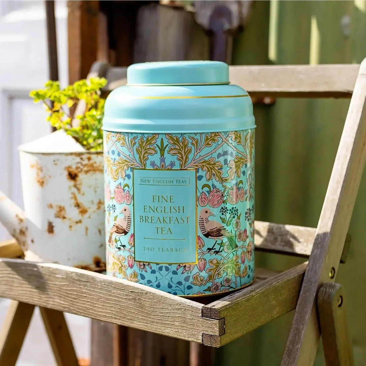 Song Thrush Mint Green Deluxe Tea Caddy 240 Teabags