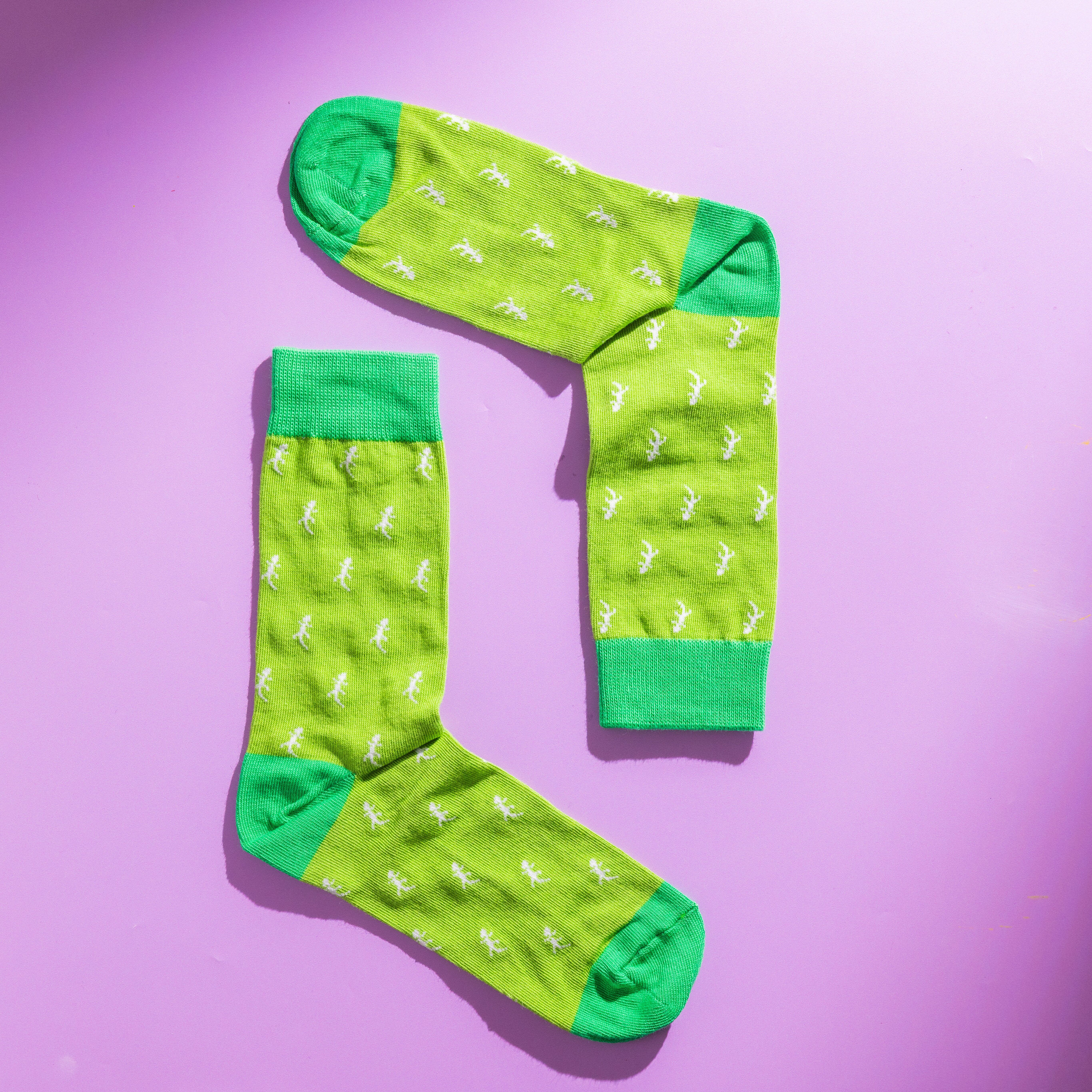 Chaussettes de luxe colorées en forme de lézard gecko pour hommes | Coton égyptien de qualité supérieure | Design écologique | Cadeau pour lui | Taille 6 pour hommes au Royaume-Uni.5-11 | Chaussettes fantaisie à motifs animaliers | Mexicaines