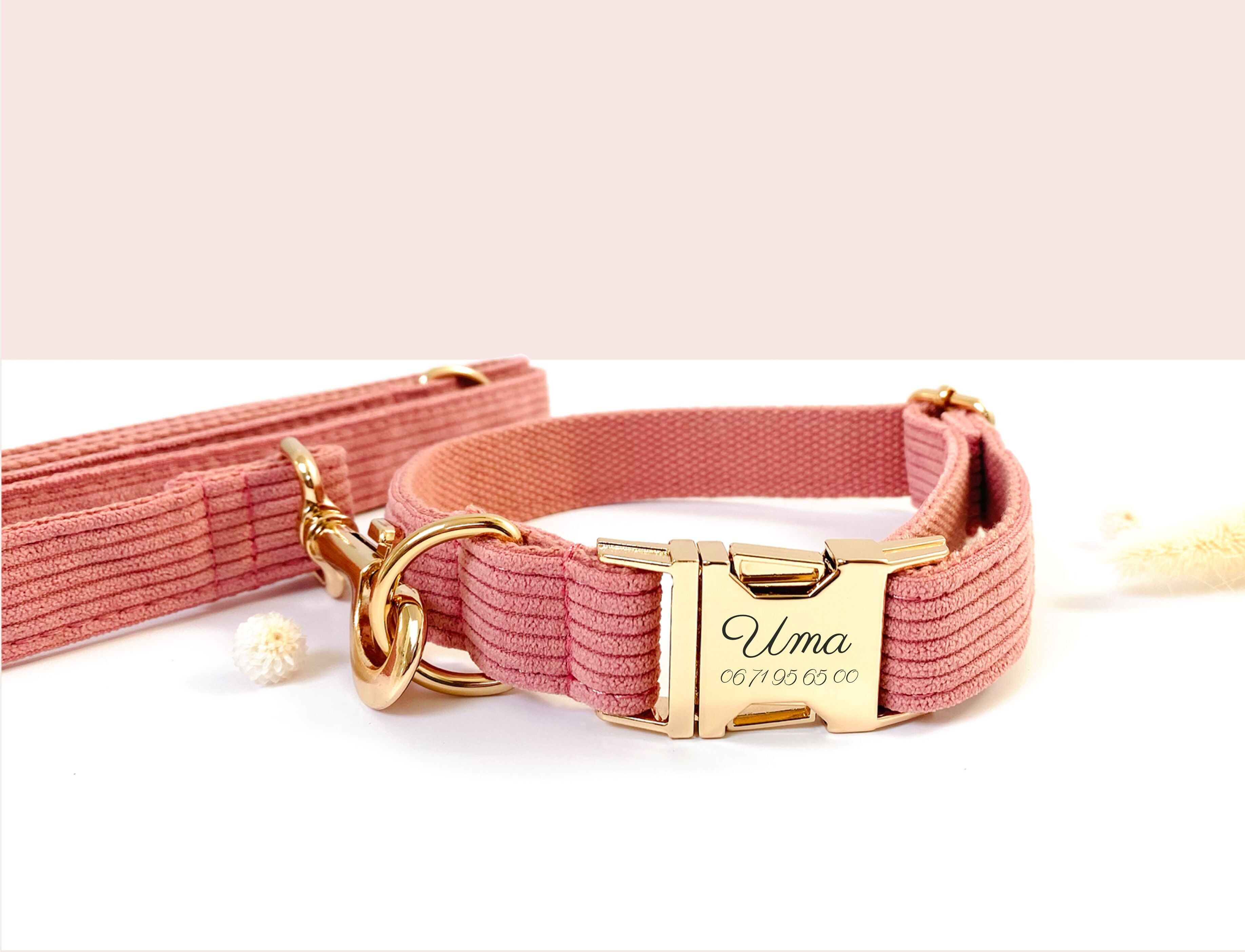 Coral Corduroy Dog Leash