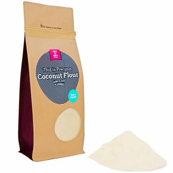 Farine de Noix de Coco Précieuse - 250g 1