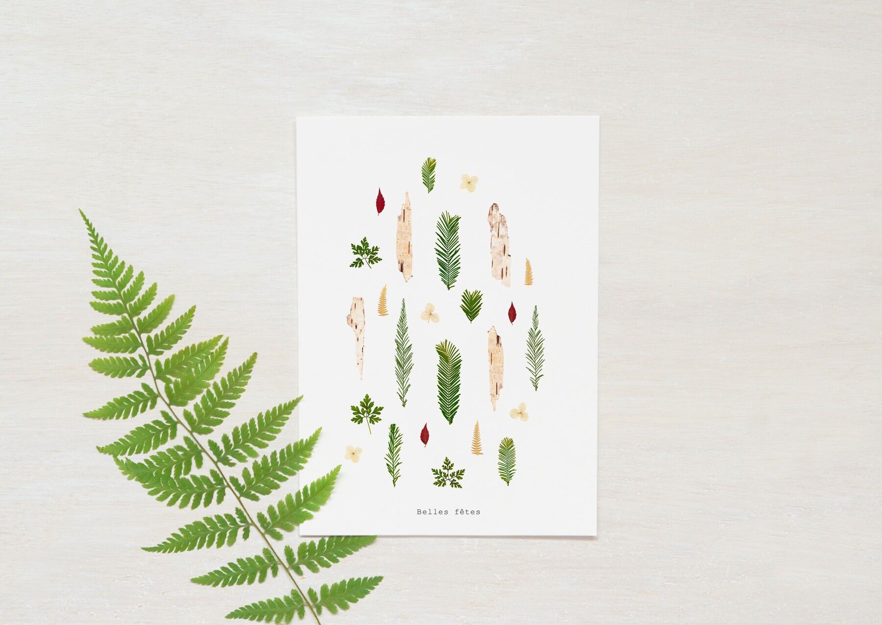 Biglietto di Natale: Conifere e Betulla • A6 (busta inclusa)
