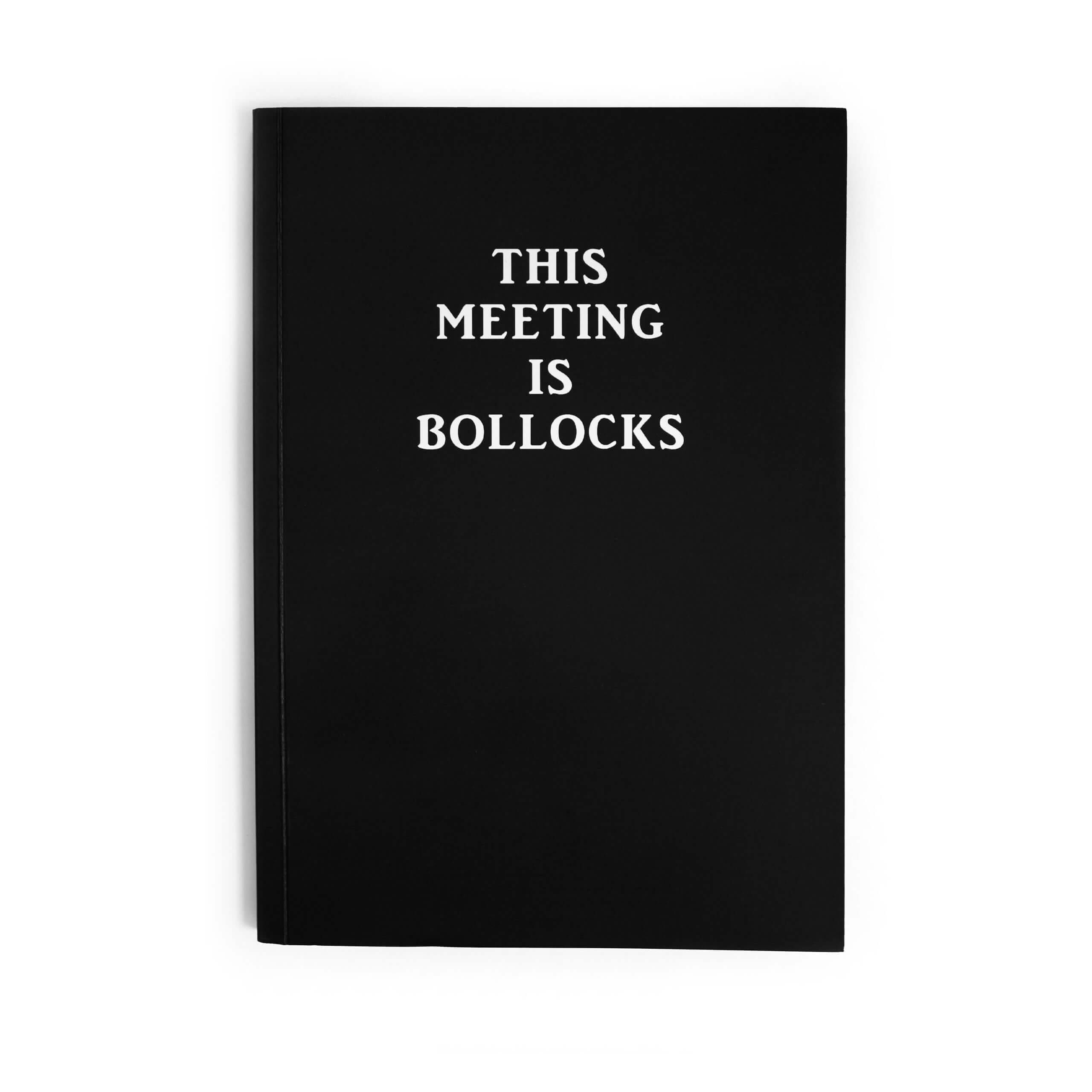 Questo INCONTRO È UNA SCIOCCHEZZA QUADERNO|Cockney Spaniel|A3