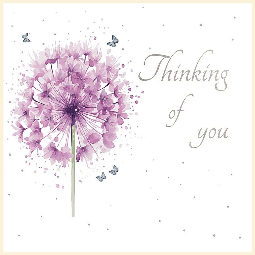 Blossom - Ich denke an dich