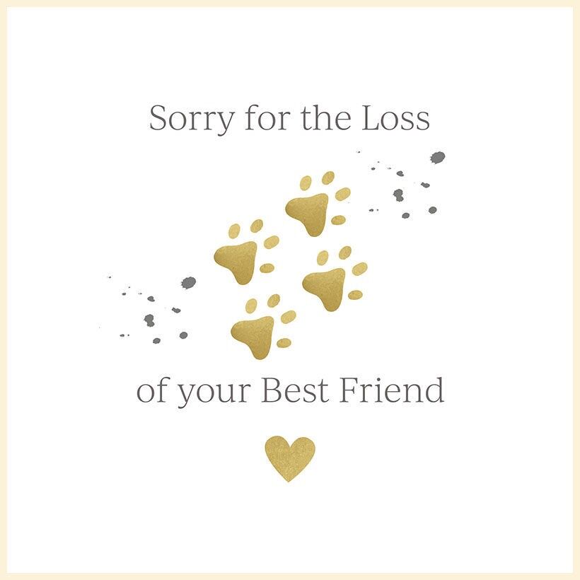 Blossom - Verlust eines Haustiers